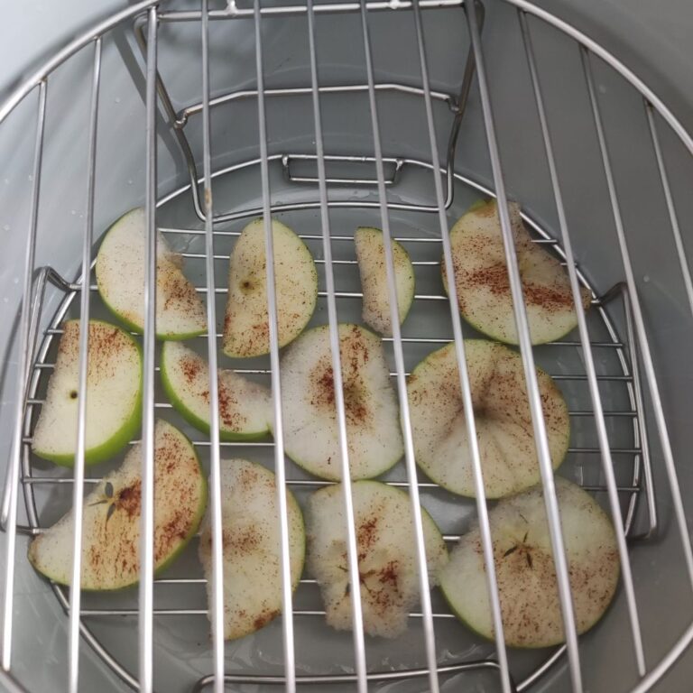 Air fryer vs Dehydrator, What is the Difference?