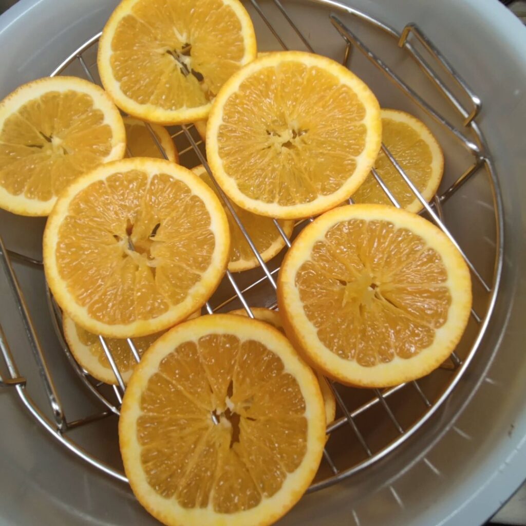 How to Dehydrate Oranges in the Air Fryer